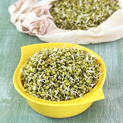 moong sprouts 7 500x500 1